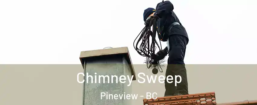  Chimney Sweep Pineview - BC