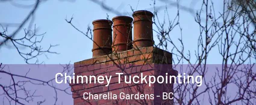  Chimney Tuckpointing Charella Gardens - BC