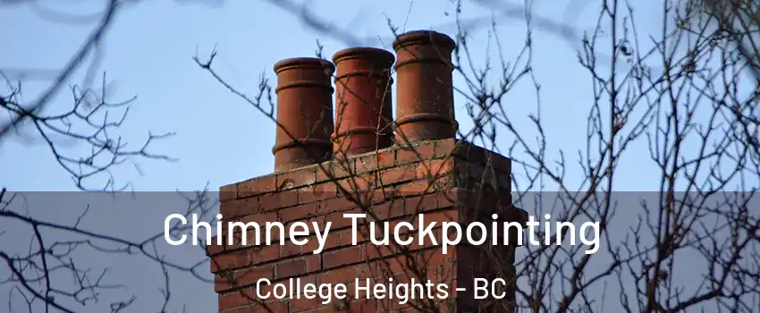  Chimney Tuckpointing College Heights - BC