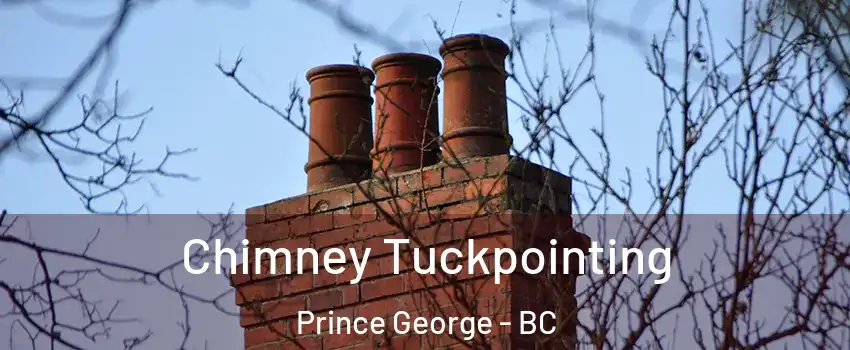  Chimney Tuckpointing Prince George - BC