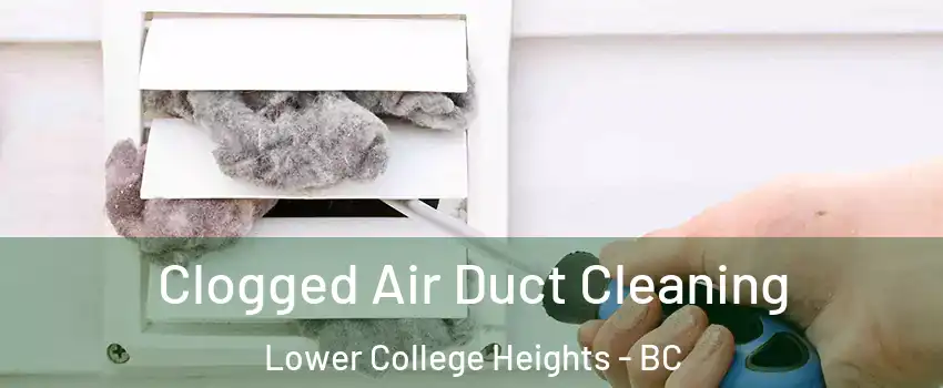  Clogged Air Duct Cleaning Lower College Heights - BC