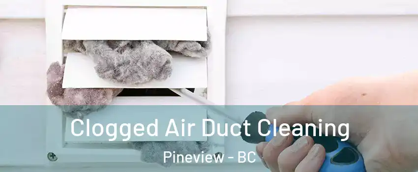  Clogged Air Duct Cleaning Pineview - BC