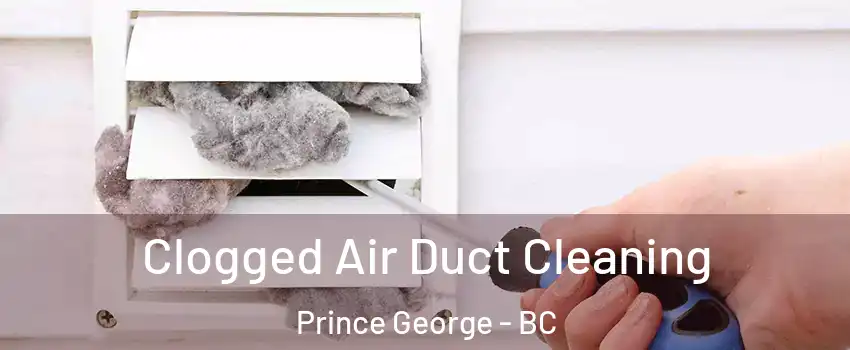  Clogged Air Duct Cleaning Prince George - BC