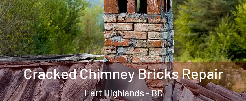  Cracked Chimney Bricks Repair Hart Highlands - BC