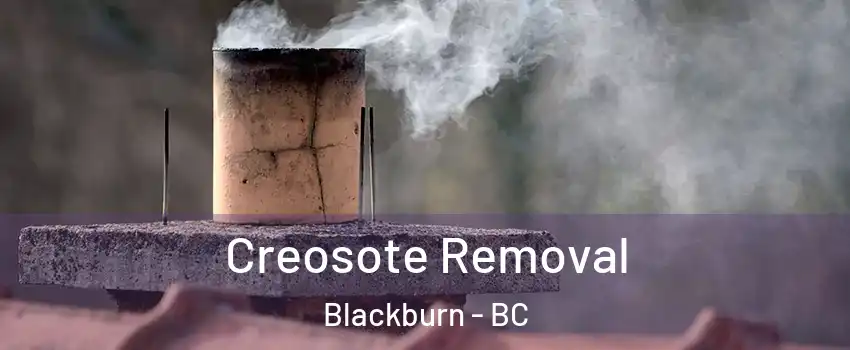  Creosote Removal Blackburn - BC