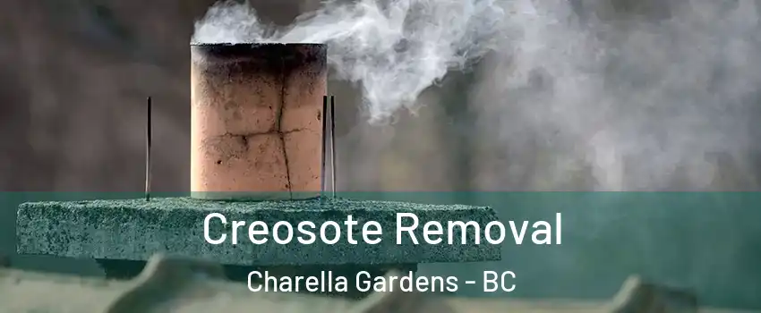  Creosote Removal Charella Gardens - BC