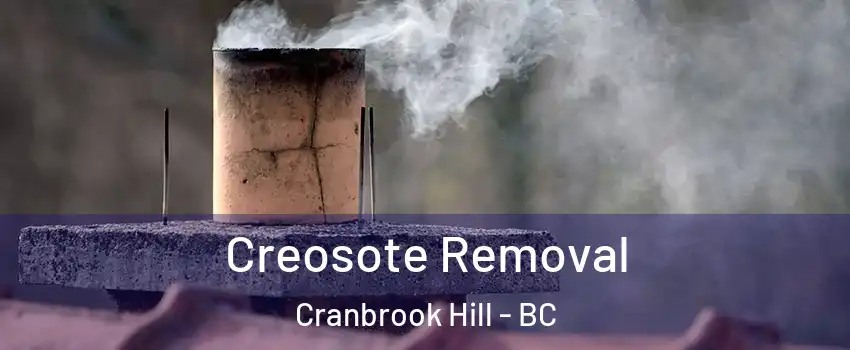  Creosote Removal Cranbrook Hill - BC