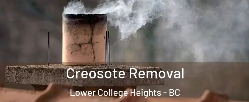  Creosote Removal Lower College Heights - BC