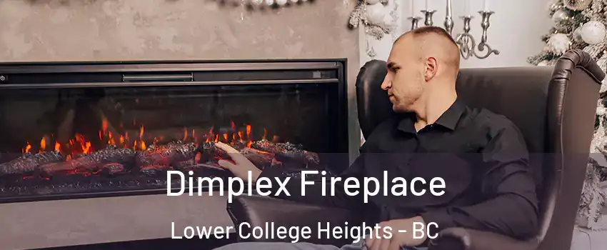  Dimplex Fireplace Lower College Heights - BC