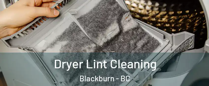  Dryer Lint Cleaning Blackburn - BC
