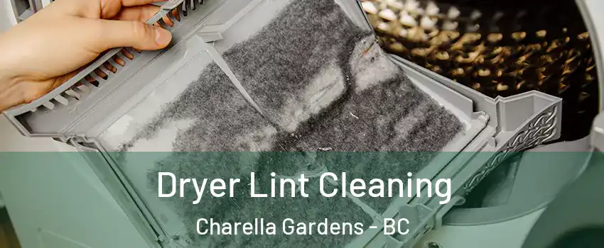  Dryer Lint Cleaning Charella Gardens - BC