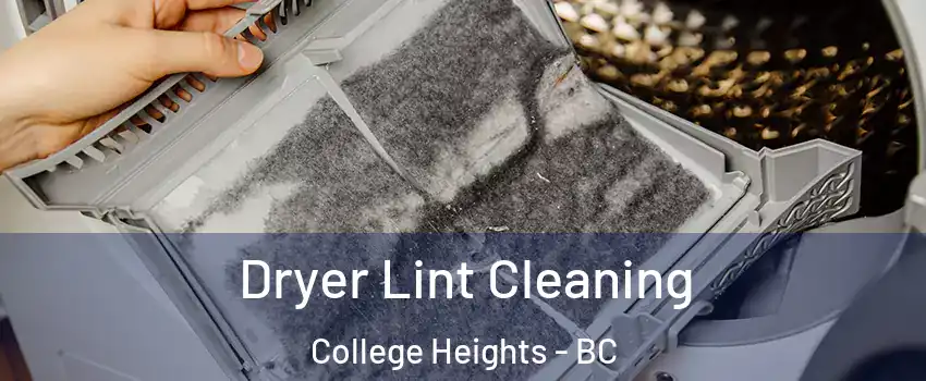  Dryer Lint Cleaning College Heights - BC