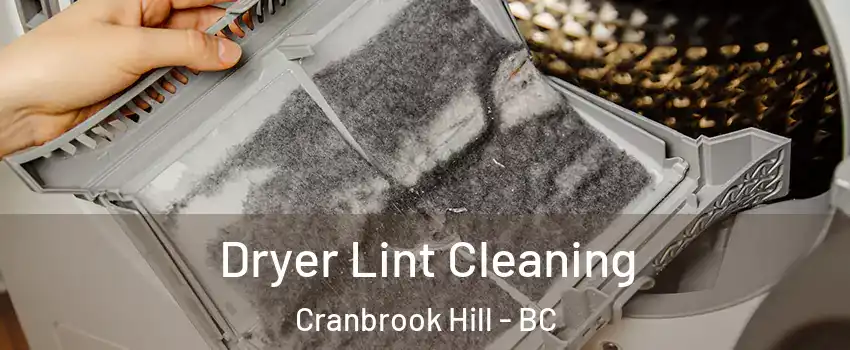  Dryer Lint Cleaning Cranbrook Hill - BC