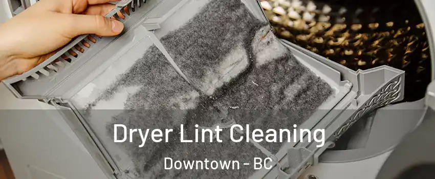  Dryer Lint Cleaning Downtown - BC