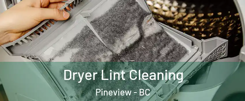  Dryer Lint Cleaning Pineview - BC