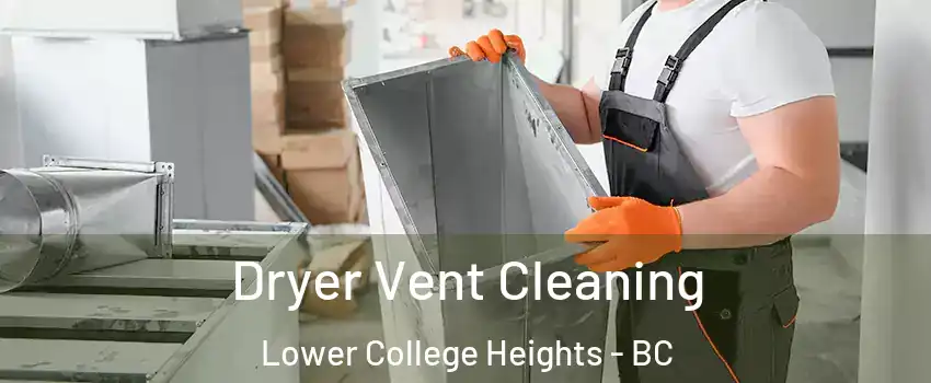  Dryer Vent Cleaning Lower College Heights - BC