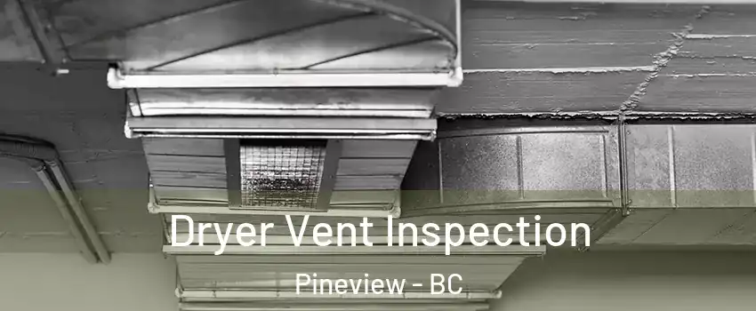  Dryer Vent Inspection Pineview - BC