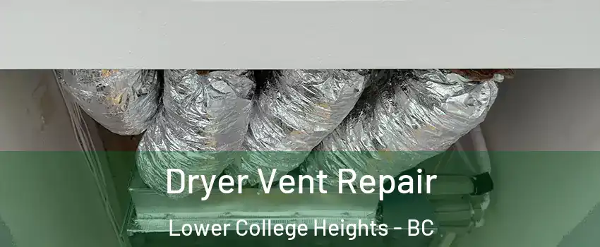  Dryer Vent Repair Lower College Heights - BC