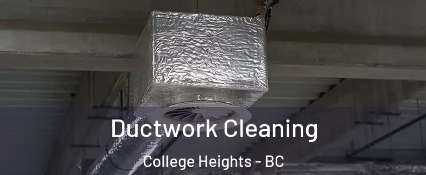  Ductwork Cleaning College Heights - BC