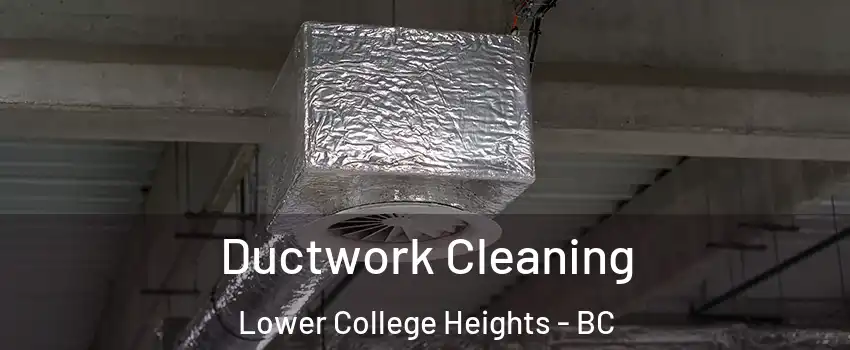  Ductwork Cleaning Lower College Heights - BC