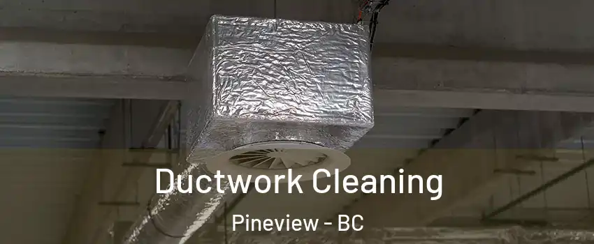 Ductwork Cleaning Pineview - BC