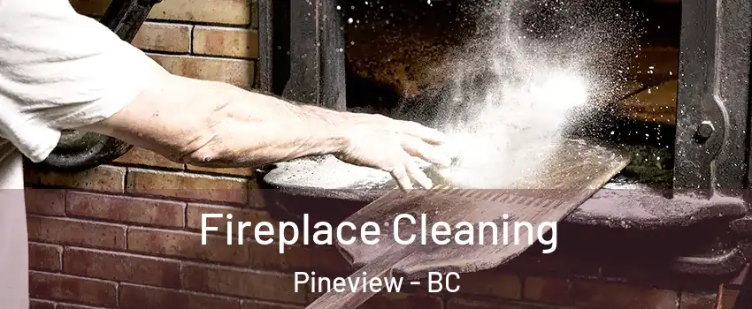 Fireplace Cleaning Pineview - BC