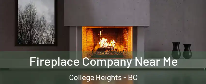 Fireplace Company Near Me College Heights - BC