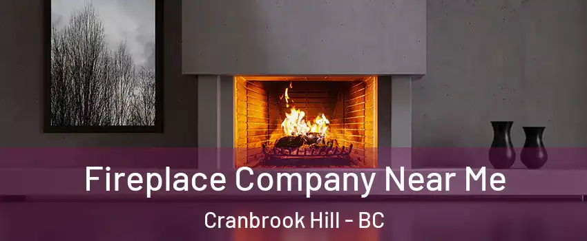 Fireplace Company Near Me Cranbrook Hill - BC