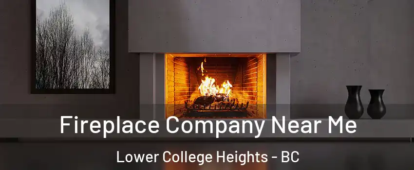 Fireplace Company Near Me Lower College Heights - BC