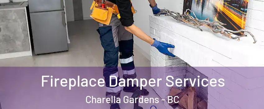 Fireplace Damper Services Charella Gardens - BC