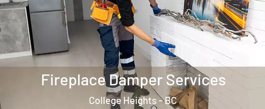 Fireplace Damper Services College Heights - BC