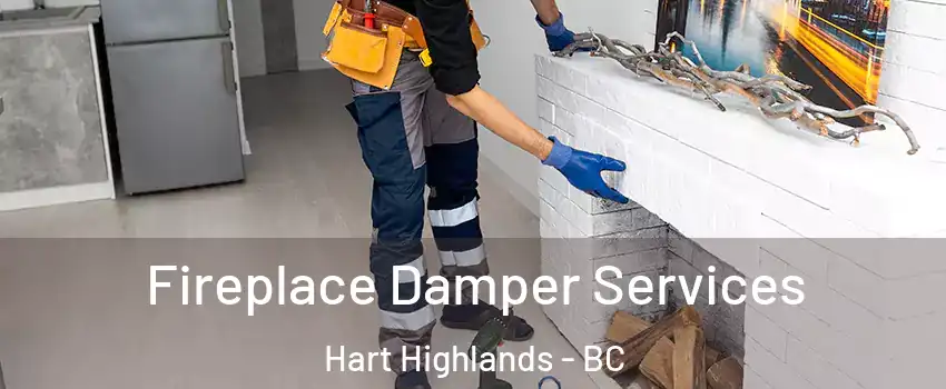 Fireplace Damper Services Hart Highlands - BC