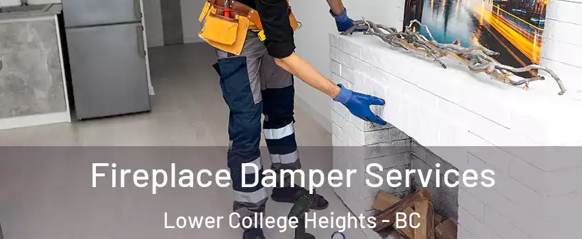 Fireplace Damper Services Lower College Heights - BC