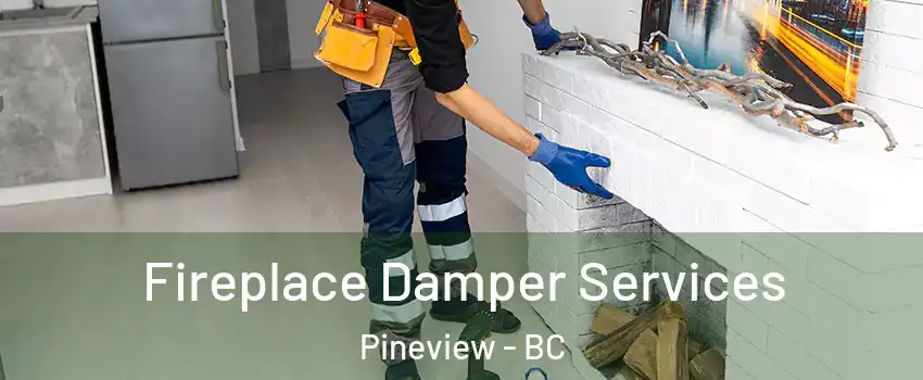Fireplace Damper Services Pineview - BC