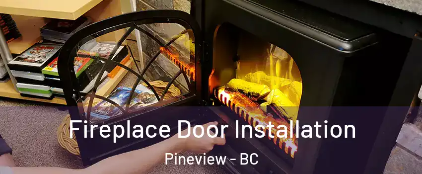  Fireplace Door Installation Pineview - BC