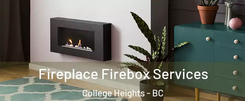  Fireplace Firebox Services College Heights - BC