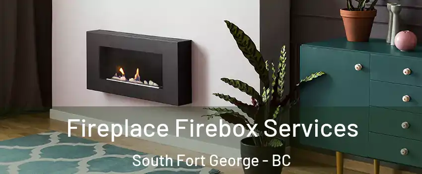  Fireplace Firebox Services South Fort George - BC