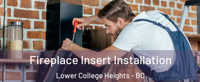  Fireplace Insert Installation Lower College Heights - BC
