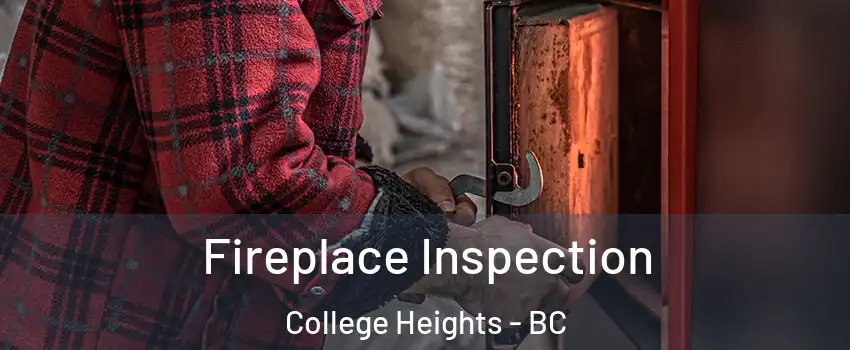  Fireplace Inspection College Heights - BC