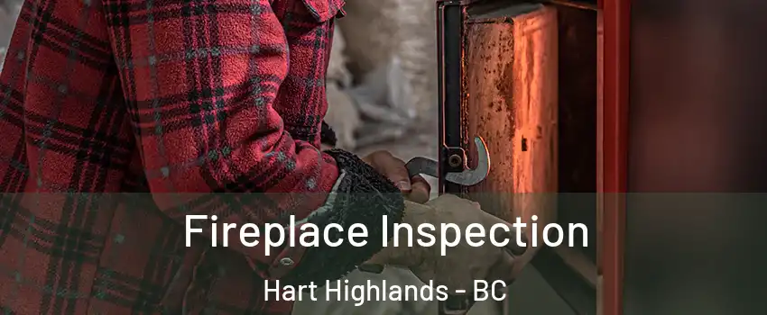  Fireplace Inspection Hart Highlands - BC