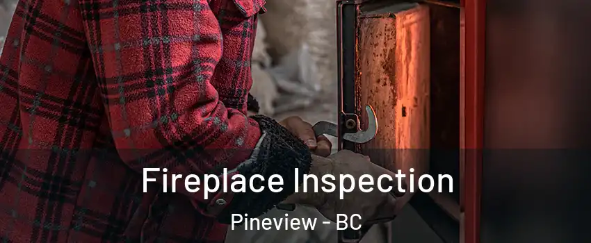  Fireplace Inspection Pineview - BC