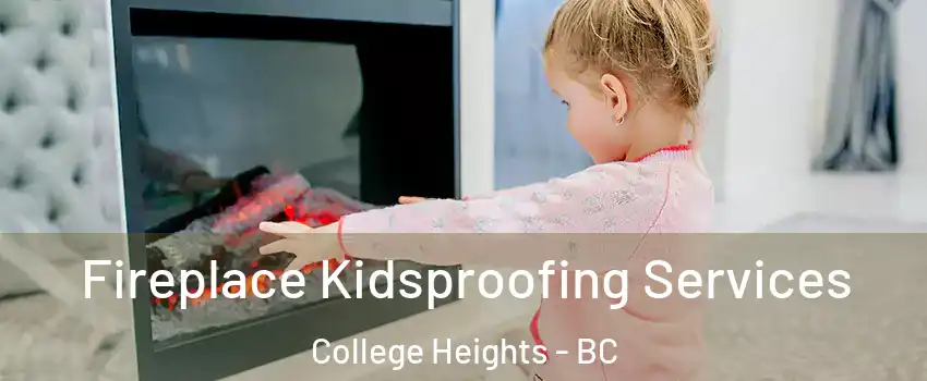  Fireplace Kidsproofing Services College Heights - BC