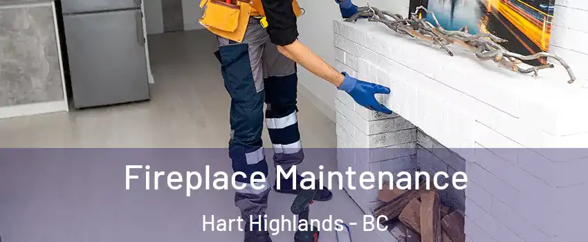  Fireplace Maintenance Hart Highlands - BC