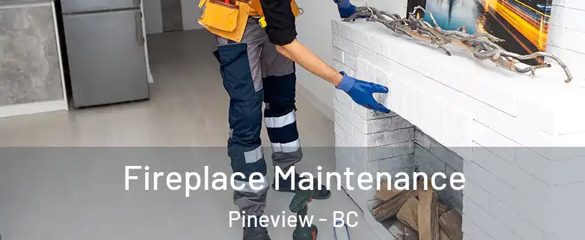  Fireplace Maintenance Pineview - BC