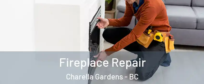  Fireplace Repair Charella Gardens - BC