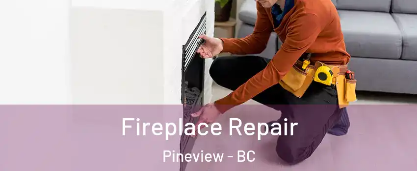  Fireplace Repair Pineview - BC