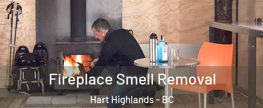  Fireplace Smell Removal Hart Highlands - BC