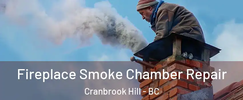  Fireplace Smoke Chamber Repair Cranbrook Hill - BC