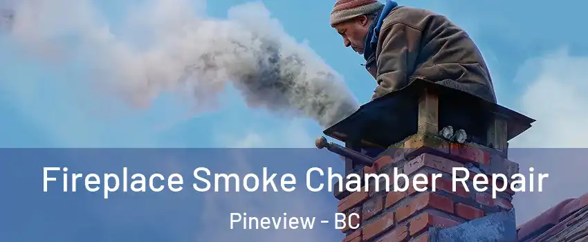  Fireplace Smoke Chamber Repair Pineview - BC