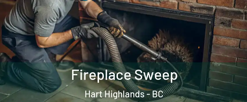  Fireplace Sweep Hart Highlands - BC